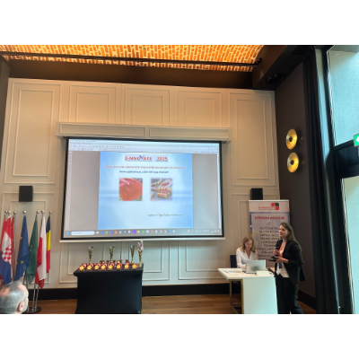 Gallery: E-NNOVATE 2024, Poland